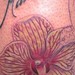 Tattoos - orchid hummingbird memorial - 38478